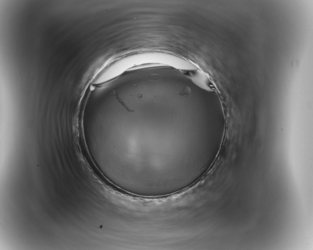 X0000087010002200704301427