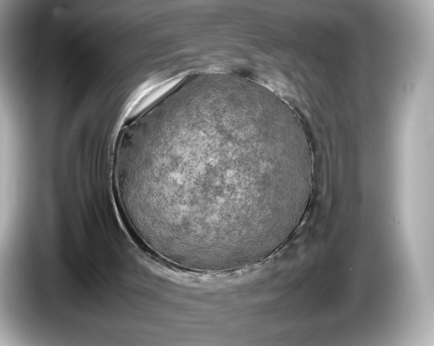 X0000087010003200704301427