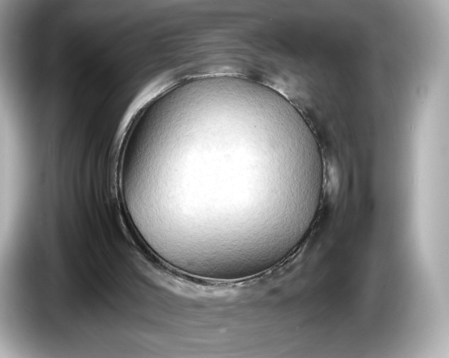 X0000087010004200704301427