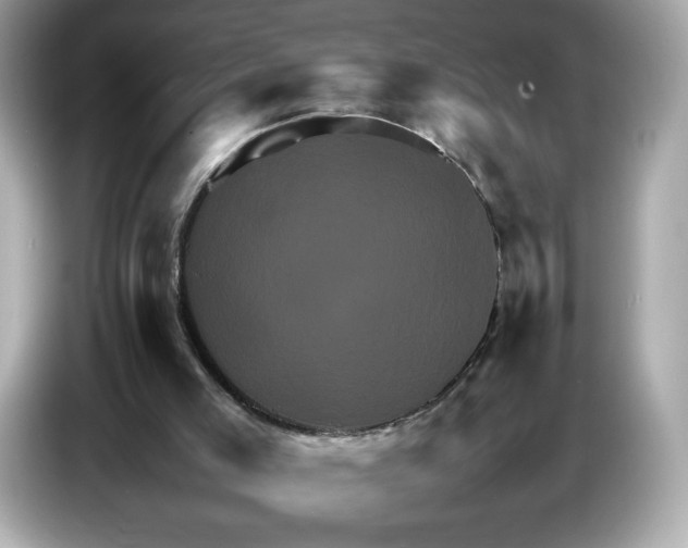 X0000087010005200704301427