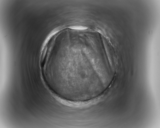 X0000087010006200704301427