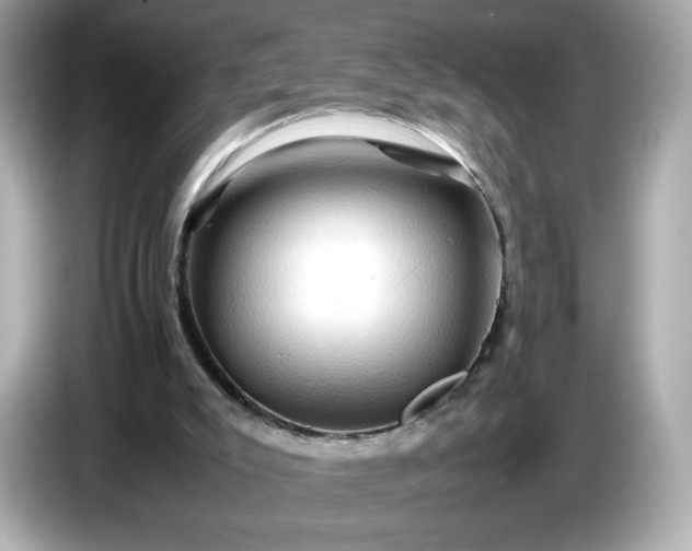 X0000087010007200704301427