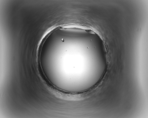 X0000087010008200704301427