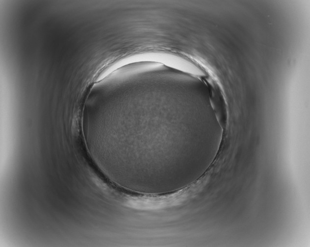 X0000087010009200704301427