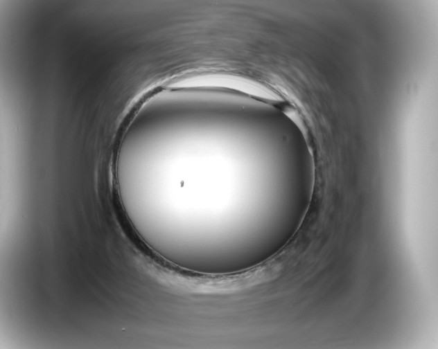 X0000087010011200704301427