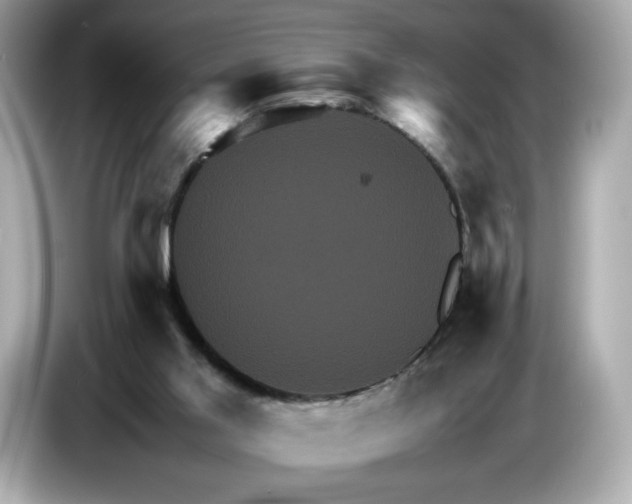 X0000087010013200704301427