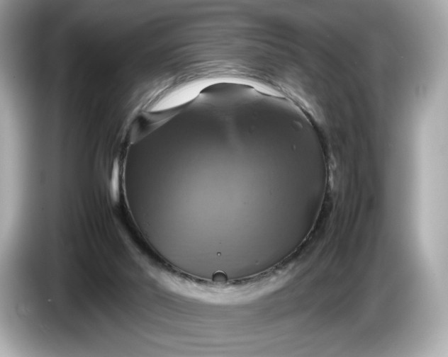 X0000087010014200704301427