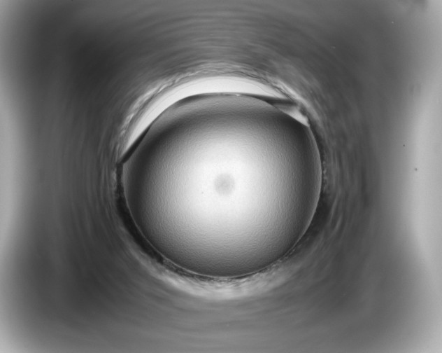 X0000087010015200704301427