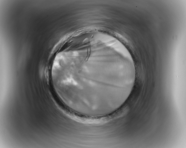 X0000087010016200704301427