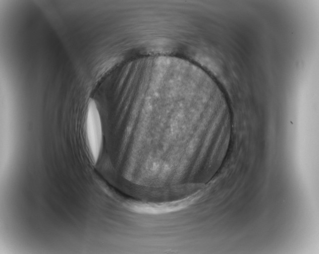 X0000087010017200704301427