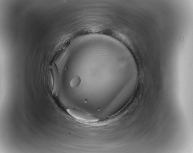 X0000087010018200704301427