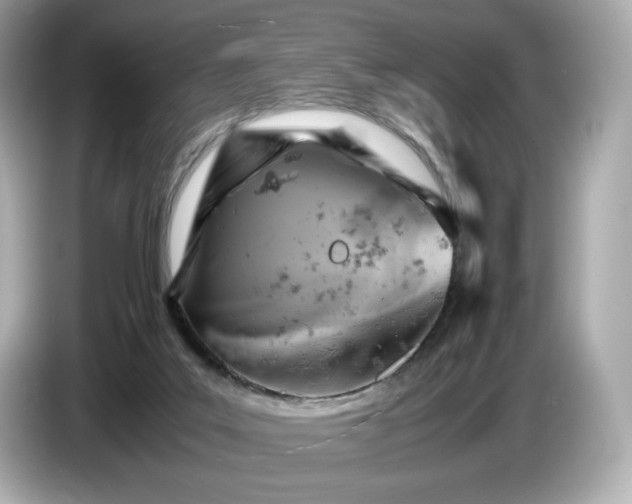 X0000087010019200704301427