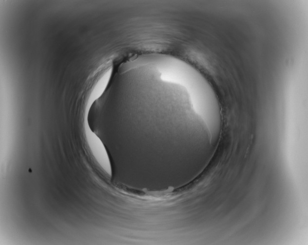 X0000087010020200704301427