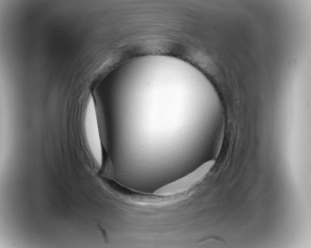 X0000087010021200704301427