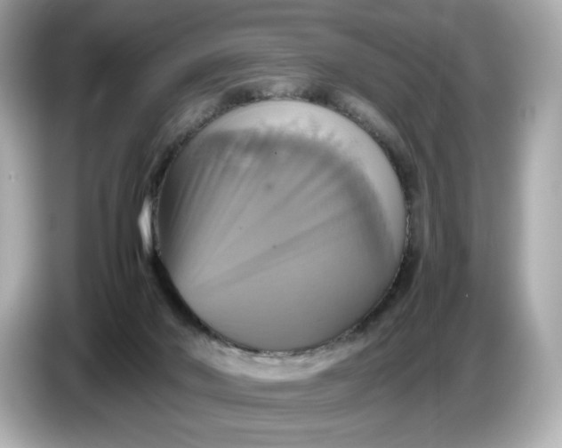 X0000087010022200704301427