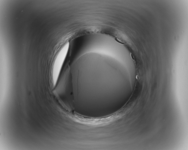 X0000087010023200704301427