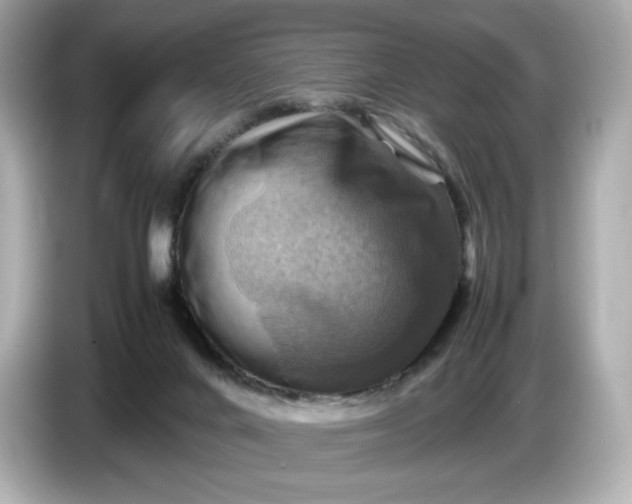 X0000087010024200704301427