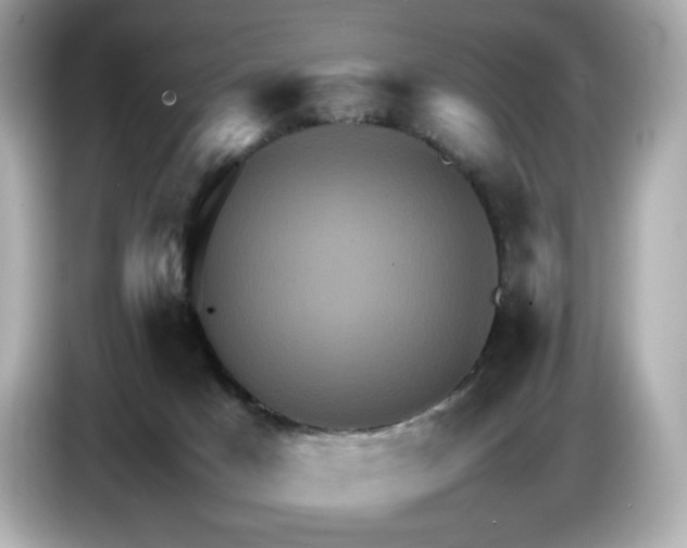 X0000087010025200704301427