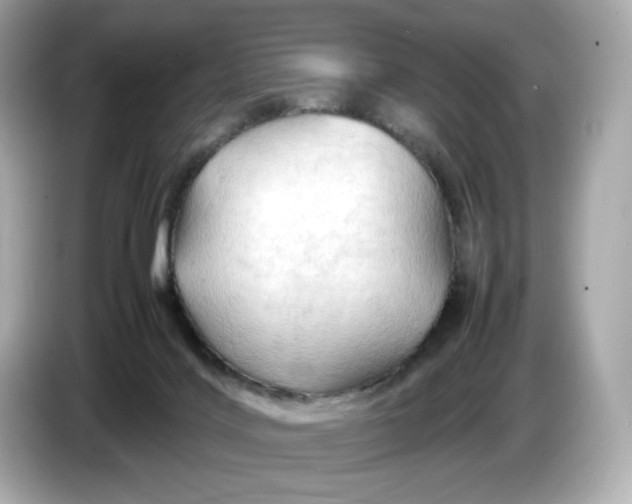 X0000087010028200704301427