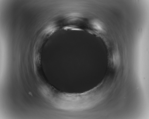 X0000087010029200704301427