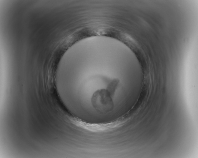 X0000087010030200704301427