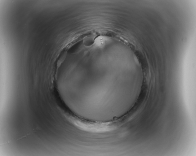 X0000087010032200704301427