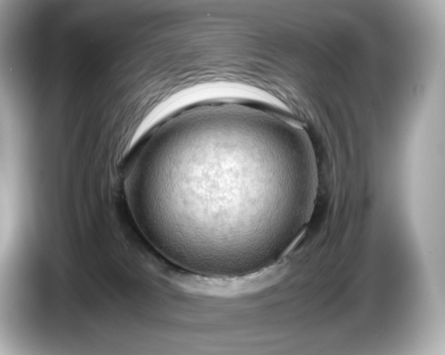 X0000087010037200704301427