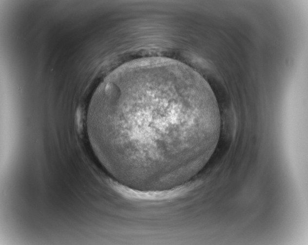 X0000087010038200704301427