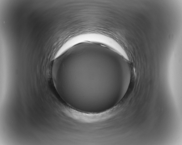 X0000087010039200704301427