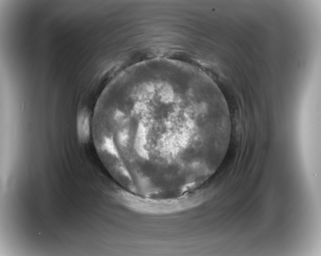 X0000087010042200704301427