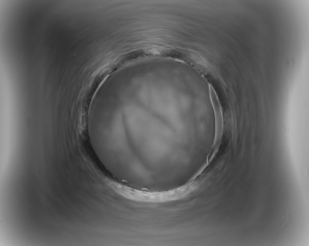 X0000087010043200704301427