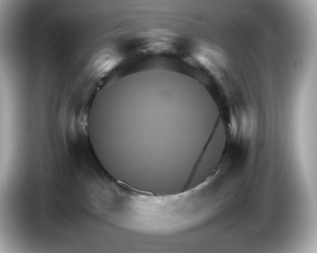 X0000087010045200704301426