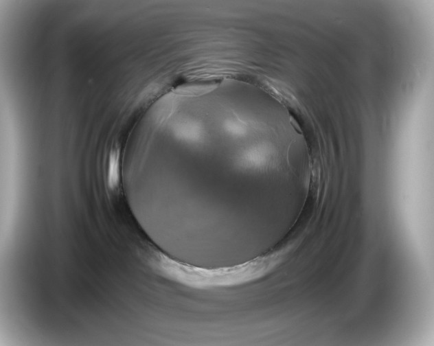 X0000087010046200704301426