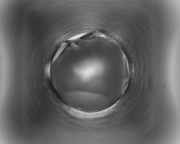 X0000087010047200704301426