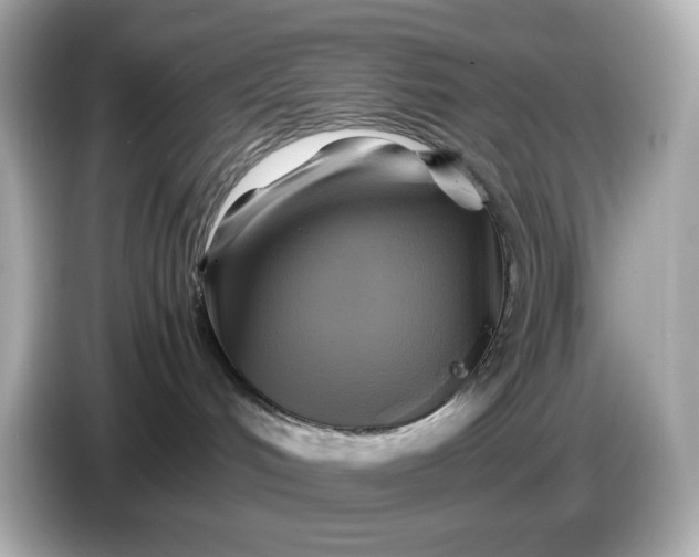 X0000087010048200704301426