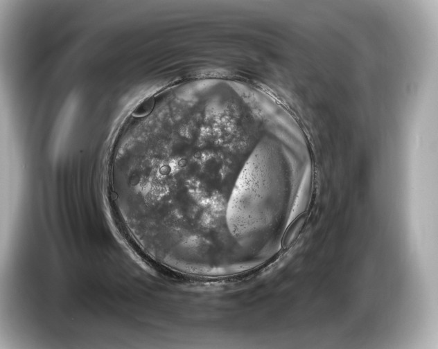 X0000087010049200704301426