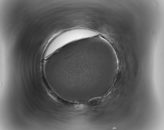 X0000087010050200704301426