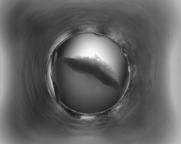 X0000087010051200704301426