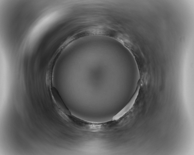 X0000087010052200704301426