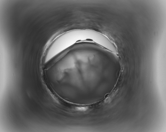 X0000087010053200704301426