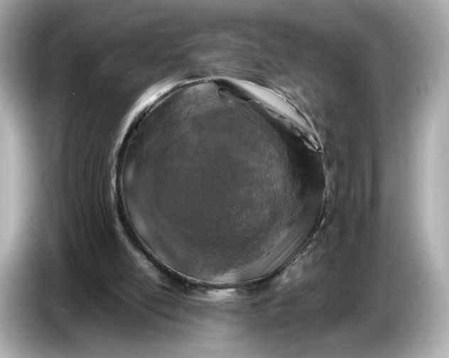 X0000087010054200704301426