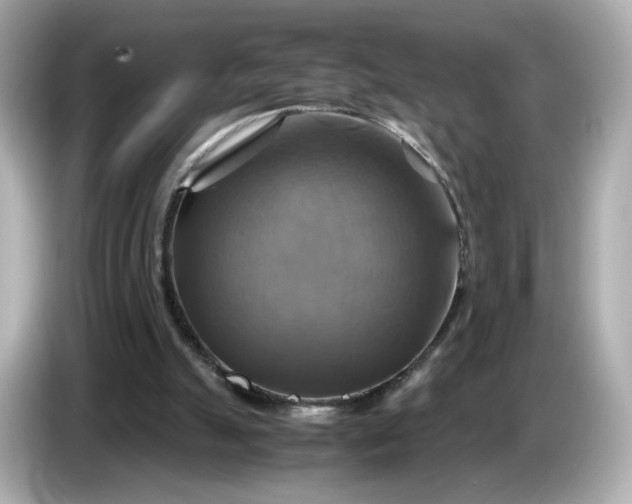 X0000087010055200704301426