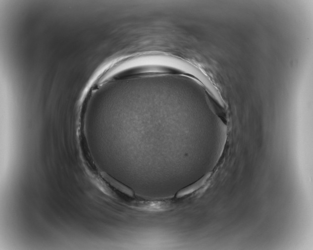 X0000087010056200704301426