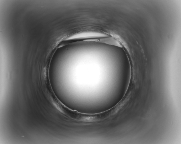 X0000087010057200704301426