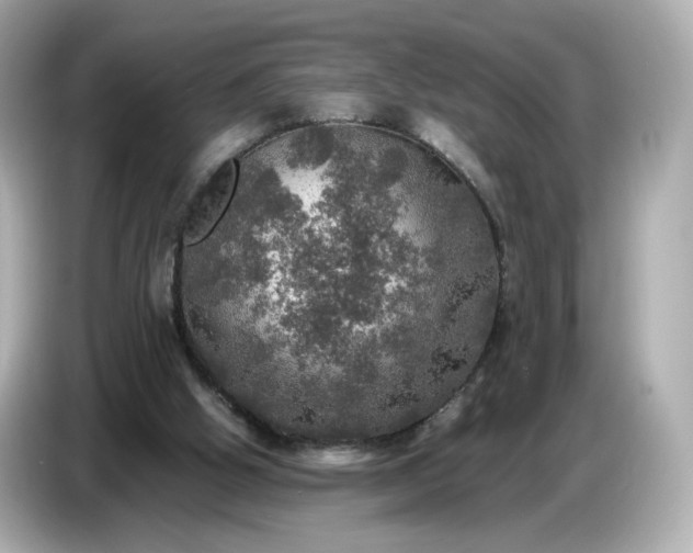 X0000087010058200704301426