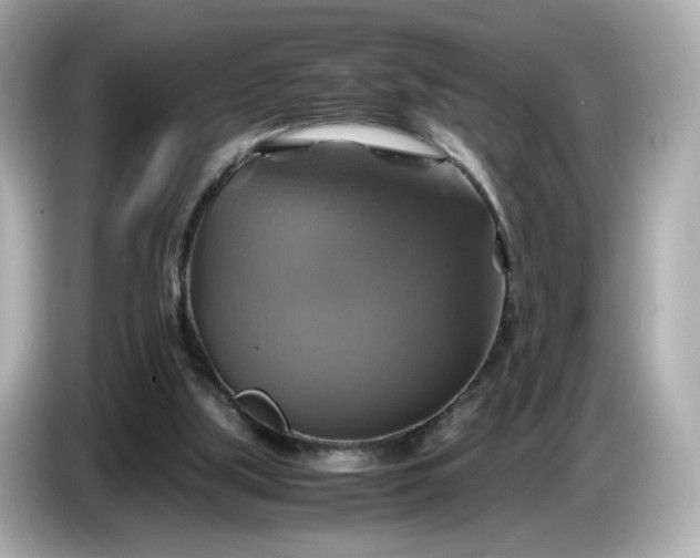 X0000087010059200704301426