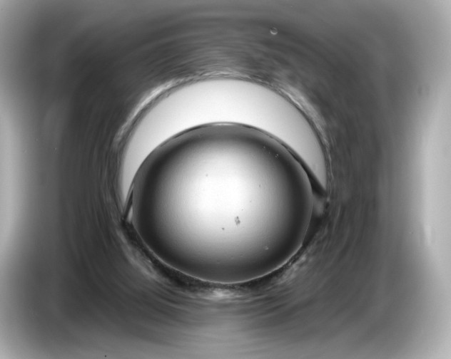 X0000087010060200704301426