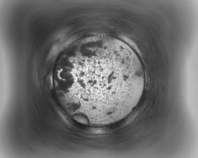 X0000087010061200704301426