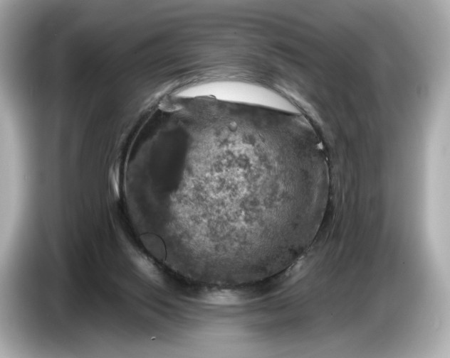 X0000087010062200704301426