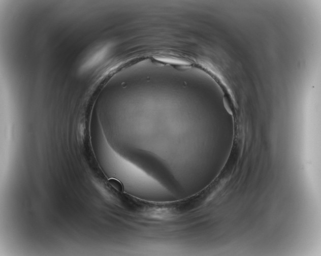 X0000087010063200704301426